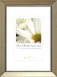 Raam Elegant Champagne 21x29,7cm 31434