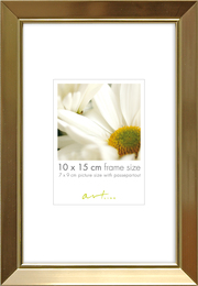 Raam Elegant Gold 30x40 cm 31495