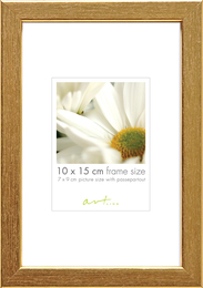 Raam Caspar Gold 24x30 cm puit 16838