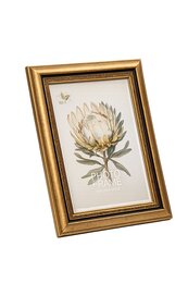 Raam Natali Gold 30x40 cm plastik