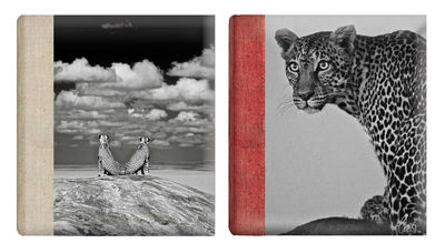Q2105290	Iseliimuv album Wildlife 25x32 cm, 30 lehekülge
